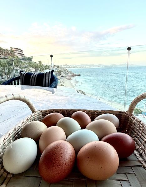 Basket of brown, cream and blue-green farm eggs from Orchard Los Cabos on a villa terrace above the ocean