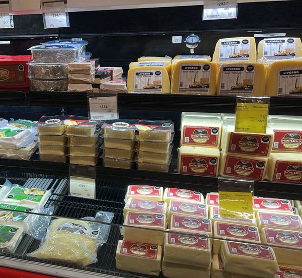 Supermarket cheese case with blocks of Parmesan and other packaged cheeses